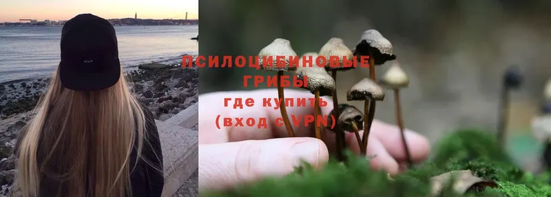 ОМГ ОМГ как войти  Маркс  Галлюциногенные грибы Psilocybe  наркота 